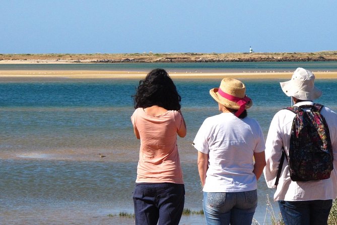 2 Stop | 2 Islands & Ria Formosa Natural Park - From Faro - Wildlife spotting: how to get the most from the channels