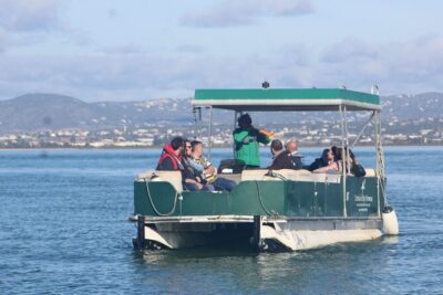 4 Stops | 3 Islands & Ria Formosa Natural Park - From Faro - The Catamaran Ride Through Ria Formosa: Birds, Water, and Wind