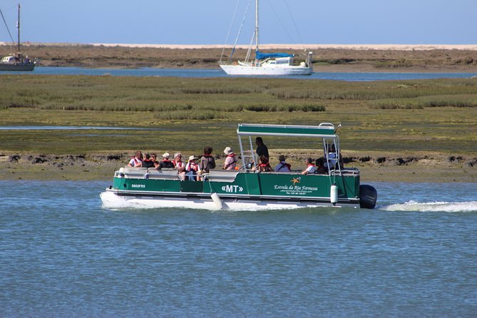 4 Stops | 3 Islands & Ria Formosa Natural Park - From Faro - Oyster Culture Observation: 15 Minutes That Add Context