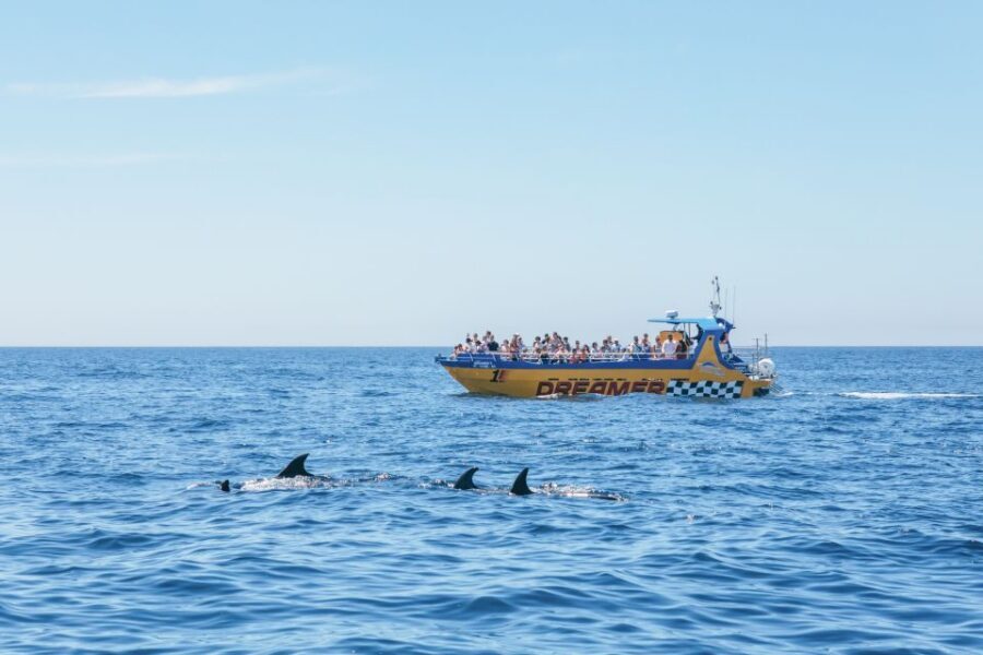 Albufeira: 2.5-Hour Benagil Caves & Dolphin Watching - Benagil Sea Cave: What the Boat-Seconds Really Feel Like