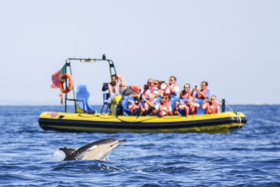 Albufeira: Benagil Caves & Dolphin Watching Speed Boat Tour - Why This Benagil Caves + Dolphin Tour Feels Like a Smart Algarve Shortcut