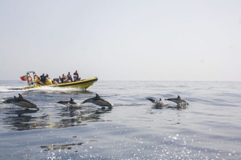 Albufeira: Benagil Caves & Dolphin Watching Speed Boat Tour - Benagil Caves Inside: Quick Access, Big Photo Results