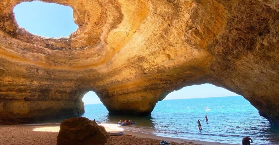 Albufeira: Benagil Caves & Dolphin Watching Speed Boat Tour - Is It Worth the Money at About $40 Per Person?