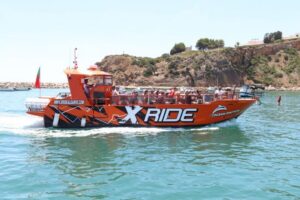 Albufeira: Dolphin Watching and Benagil Cave - From Marina de Albufeira to Carvoeiro: the cruise rhythm that sets the tone