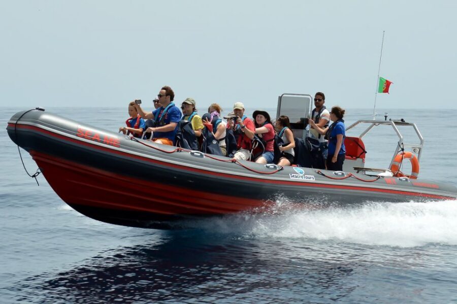 Albufeira: Dolphin Watching and Benagil Cave Boat Cruise - Why the Small Semi-Rigid Boat Changes Everything
