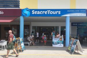 Albufeira: Dolphin Watching and Benagil Cave Boat Cruise - From Albufeira Marina Out Along the Algarve Coast