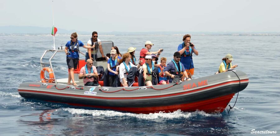 Albufeira: Dolphin Watching and Benagil Cave Boat Cruise - Entering Sea Caves and the Benagil Factor