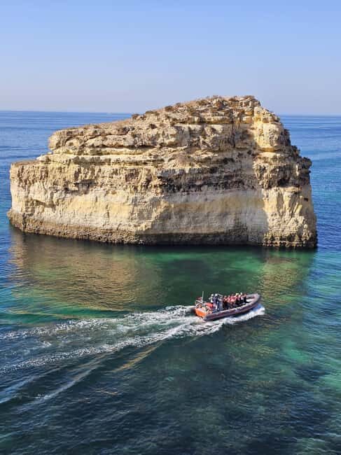 Albufeira: Dolphin Watching and Benagil Cave Boat Cruise - How Much It Costs and Why It Can Still Feel Like a Deal