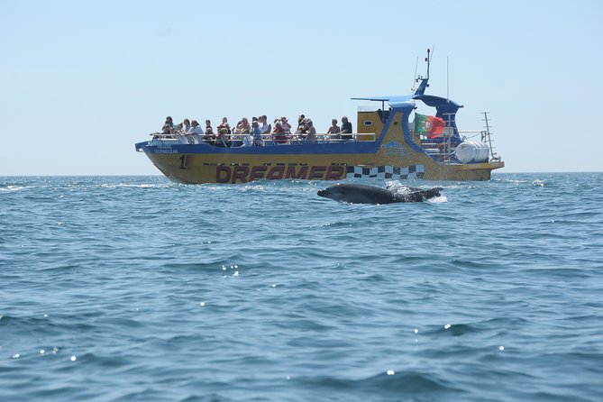 Albufeira Dreamer Boat Trip - Crew energy and the value of real storytelling