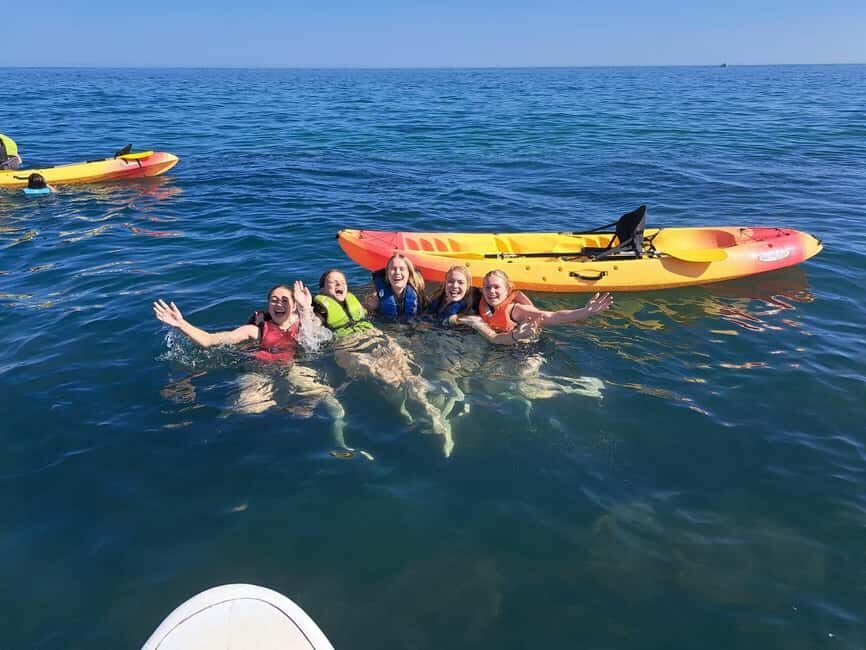 Albufeira: Hidden Beaches & Cliffs Guided Kayak Cave Tour - Who this works best for