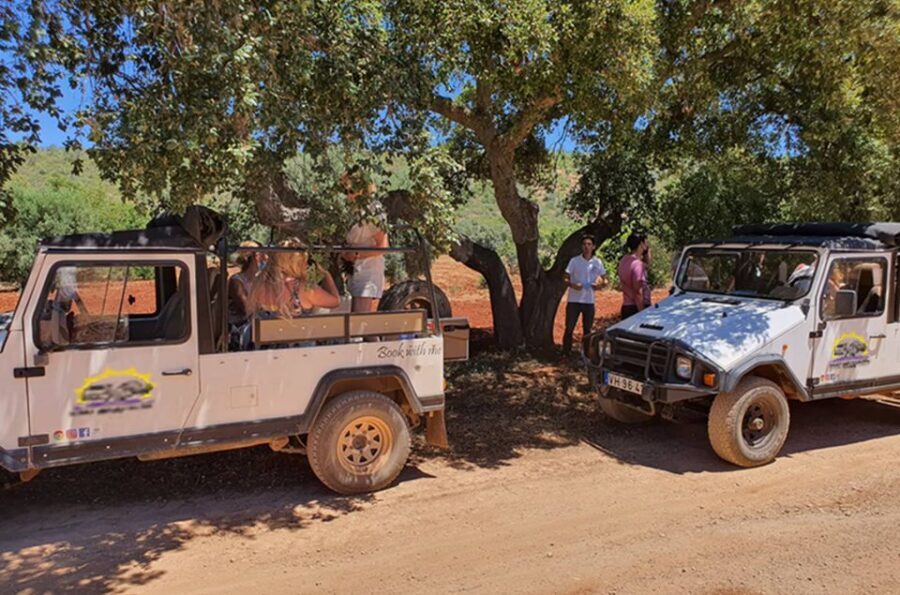 Albufeira: Safari Excursion in the Algarve Mountains - Quinta do Goji: Spirits, Tea, and a Shopping Stop That Doesn’t Feel Empty