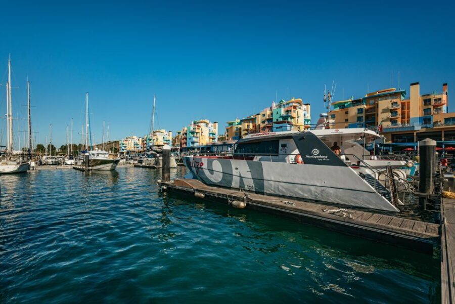 Algarve 3-Hour Caves and Coastline Boat Trip - Should You Book This Algarve Caves and Coastline Boat Trip?