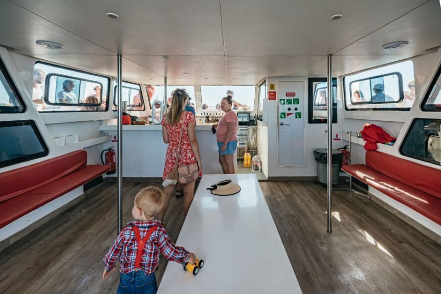 Algarve 3-Hour Caves and Coastline Boat Trip - The Top Deck Upgrade (Fly Bridge): Views and What You Get