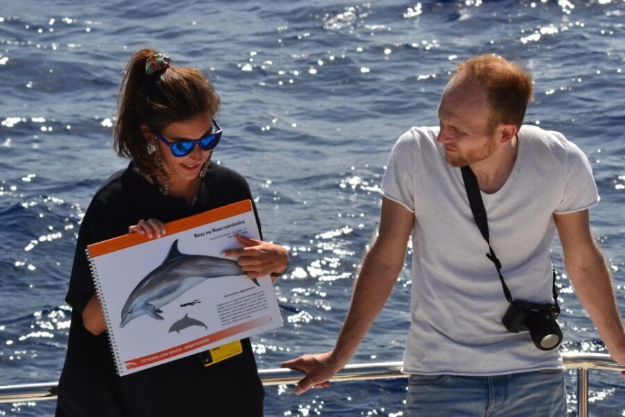 All Inclusive Whale and Dolphin Watching Luxury Tour - Timing and seasickness: how to set yourself up for the best ride