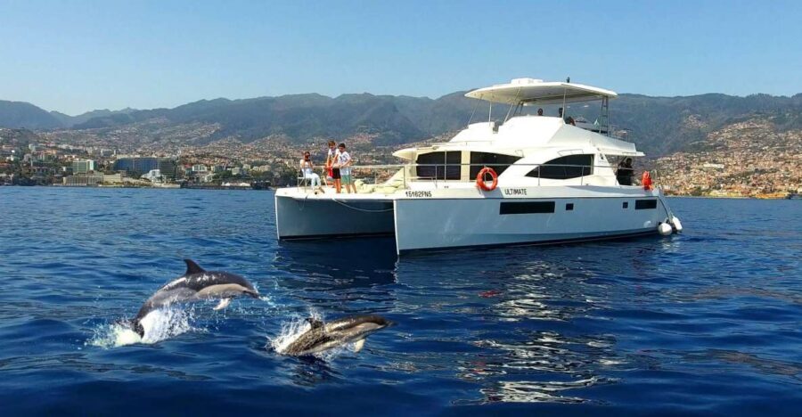 All Inclusive Whale and Dolphin Watching Luxury Tour - The first stretch: 45 minutes of cruising and scanning for dolphins