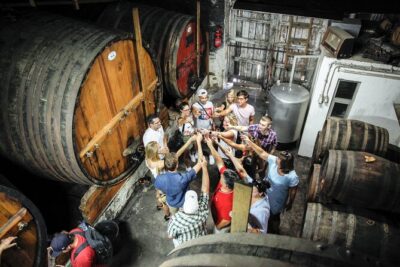 Authentic Small Group Douro Wine Tour with Lunch & River Cruise - Quinta do Tedo and Quinta do Beijo: Two Tastings, Two Personalities