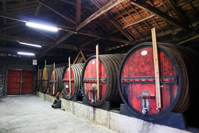 Authentic Small Group Douro Wine Tour with Lunch & River Cruise - The N222 Road and Lookouts: Why the Driving Feels Like Part of the Tour