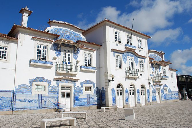 Aveiro and Costa Nova Half Day Tour from Porto with Boat Ride - Stop 1 in Aveiro: canals, timing, and the pastry you should not skip