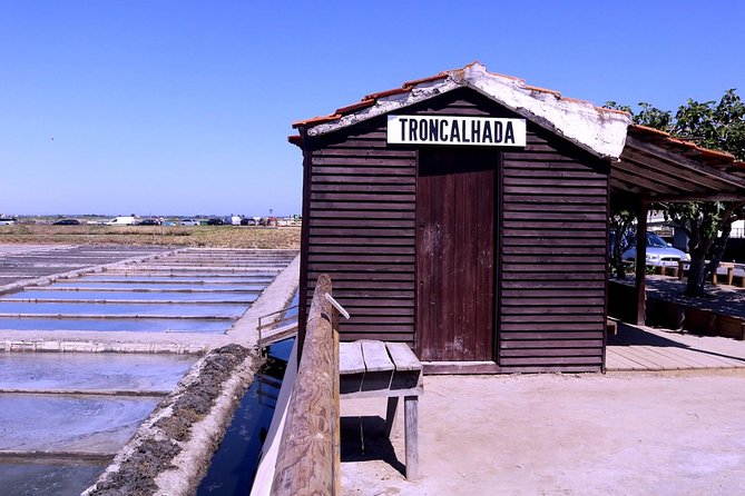 Aveiro and Costa Nova Half Day Tour from Porto with Boat Ride - The Moliceiro boat ride: why this is the real highlight
