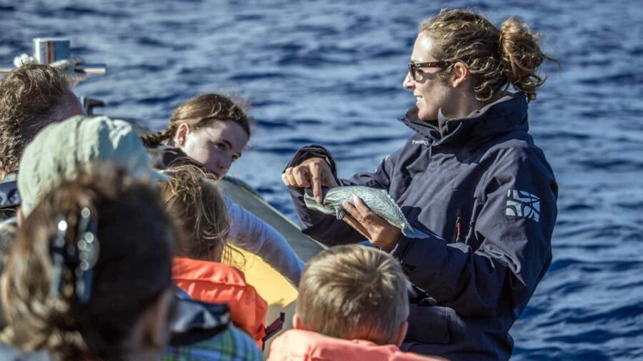 Azores: Whale Watching & Islet Boat Tour w/ Marine Biologist - The search at sea: what “sightings guaranteed” really means in practice