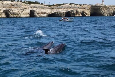 Benagil Caves Tour from Portimao - Where you meet the boat near Portimão