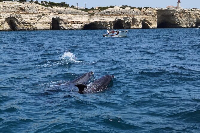 Benagil Caves Tour from Portimao - Where you meet the boat near Portimão