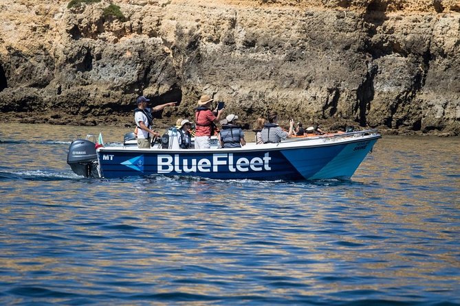 Boat Trip to Ponta da Piedade from Lagos - Price and Value for a 75-Minute Cave Cruise