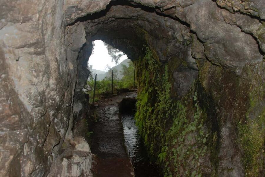 Caldeirão Verde: Levada Caldeirao Verde Hiking Transfer - Shared transfer picks you up fast in Funchal, Santa Cruz, or Machico