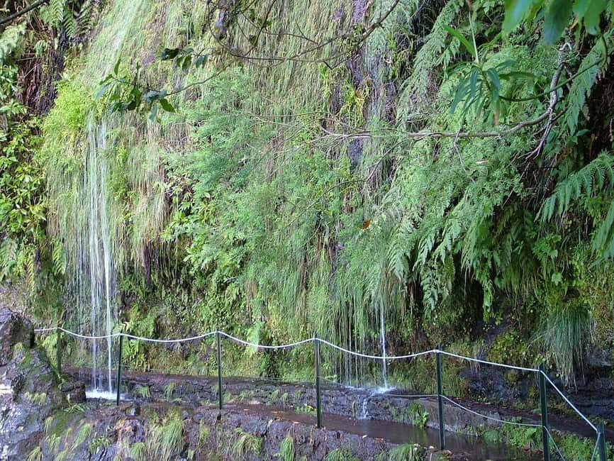 Caldeirão Verde: Levada Caldeirao Verde Hiking Transfer - Four tunnels, and why you should bring light and rain gear