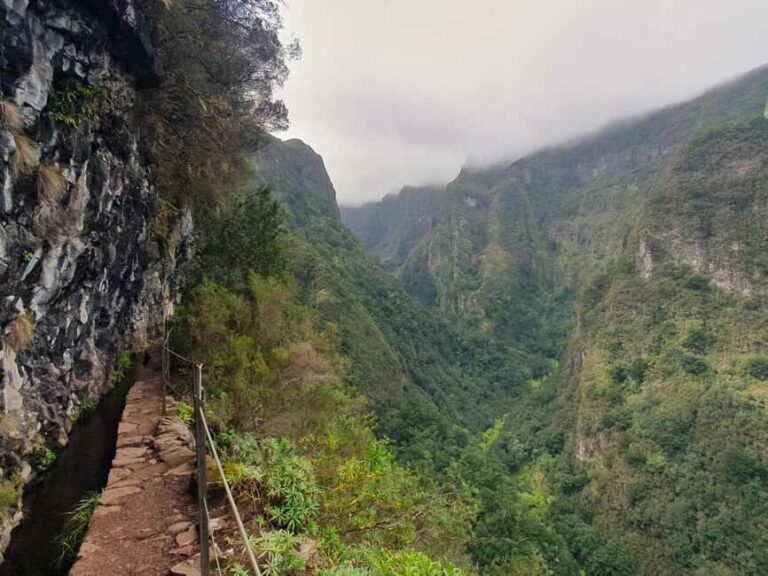 Caldeirão Verde: Levada Caldeirao Verde Hiking Transfer - Queimadas Park and the Laurissilva forest feel: what the trail delivers