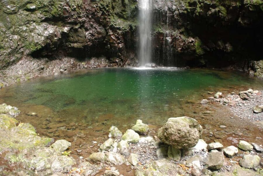 Caldeirão Verde: Levada Caldeirao Verde Hiking Transfer - Who this Madeira hike-transfer suits (and who should skip it)