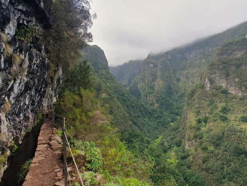 Caldeirão Verde: Levada Caldeirao Verde Hiking Transfer - Queimadas Park and the Laurissilva forest feel: what the trail delivers