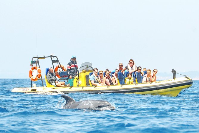 Caves and Dolphin Watching Cruise from Albufeira - Why this Albufeira cruise mixes caves with a dolphin hunt