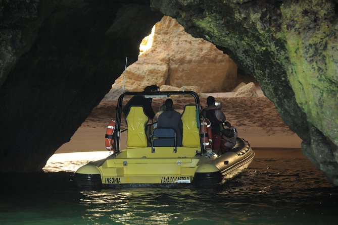 Caves and Dolphin Watching Cruise from Albufeira - Dolphins aren’t guaranteed, but the cruise gives you real odds