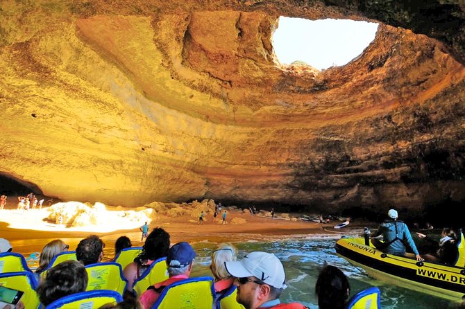Caves and Dolphin Watching Cruise from Albufeira - The swim stop: when it happens and what area you’ll use
