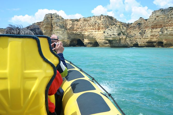Caves and Dolphin Watching Cruise from Albufeira - Price and value: what $42.33 gets you in two hours