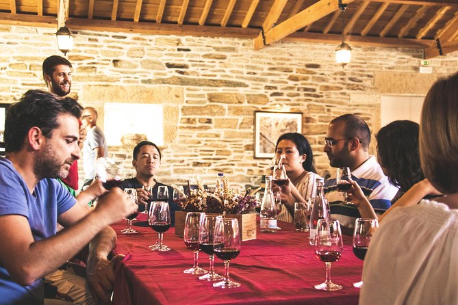 Complete Douro Valley Wine Tour with Lunch, Wine Tastings and River Cruise - Price and value: why $101.76 can make sense here