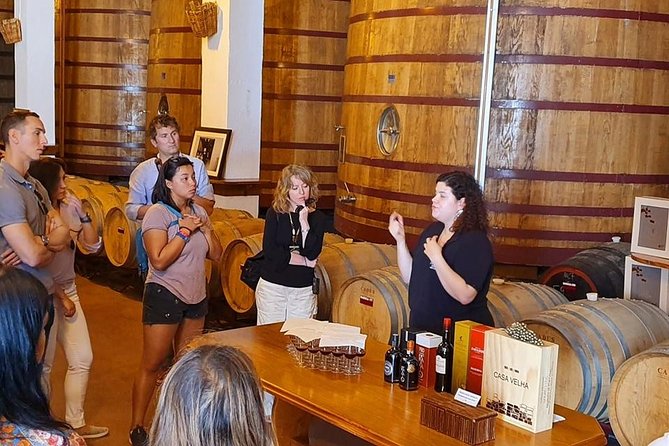 Complete Douro Valley Wine Tour with Lunch, Wine Tastings and River Cruise - Stop 1: Douro Valley time for views and first orientation