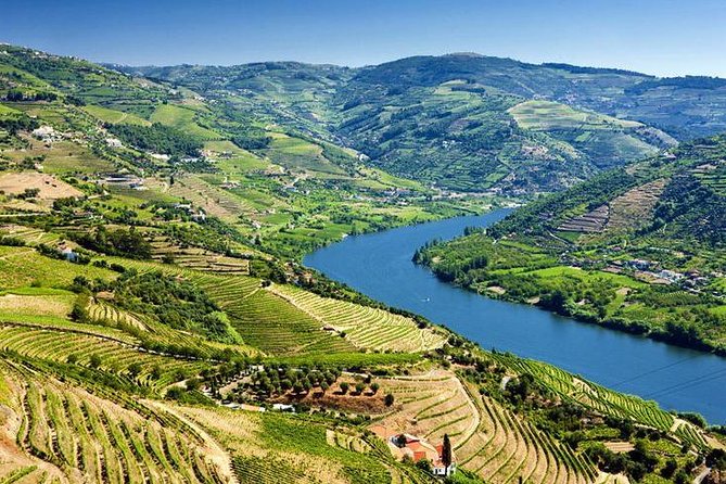 Complete Douro Valley Wine Tour with Lunch, Wine Tastings and River Cruise - Stop 2 (Sabrosa): estate visit, tastings, and a full Portuguese lunch