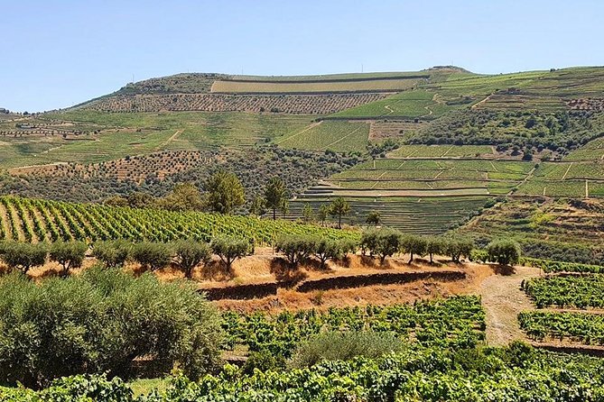 Complete Douro Valley Wine Tour with Lunch, Wine Tastings and River Cruise - After lunch: photo viewpoints and winding Douro roads