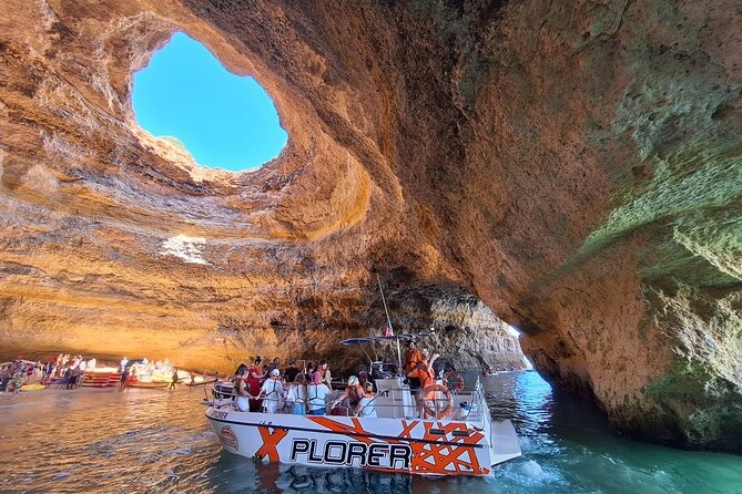Dolphin Watching and Caves Cruise - Key highlights worth booking for