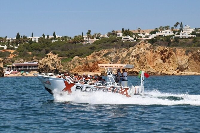 Dolphin Watching and Caves Cruise - Benagil Cave: what the short visit really means