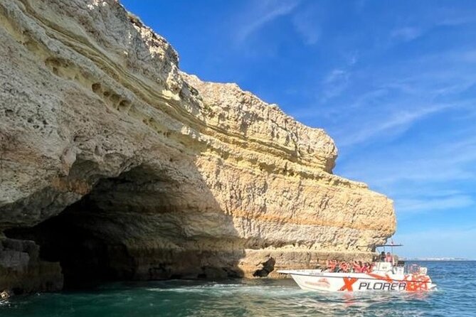 Dolphin Watching and Caves Cruise - Swim stop and sea sickness: comfort tips that actually help