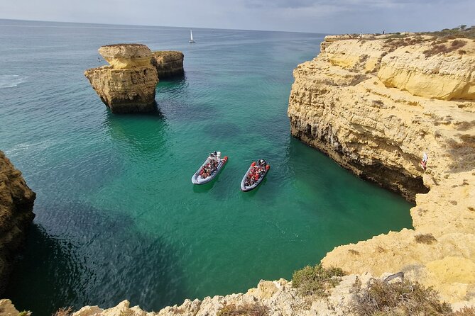 Dolphins Search and Benagil Caves from Albufeira - Price and Value: Is $36.28 a Smart Deal?