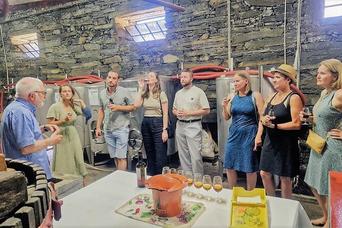 Douro Valley-Expert Guide-Boat-Lunch-Tastings-Offer wine bottle - Miradouro Torguiano: the Port-wine explanation with a camera-ready payoff