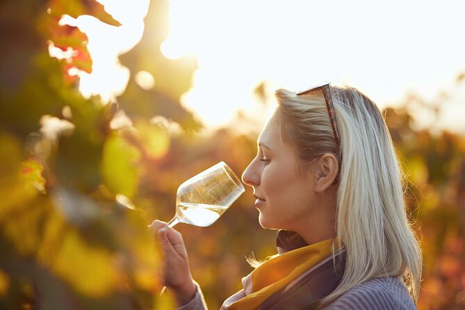 Douro Valley: Historical Sites, Wine Experience, Lunch & Cruise - Guides and group size: why small groups feel worth the money