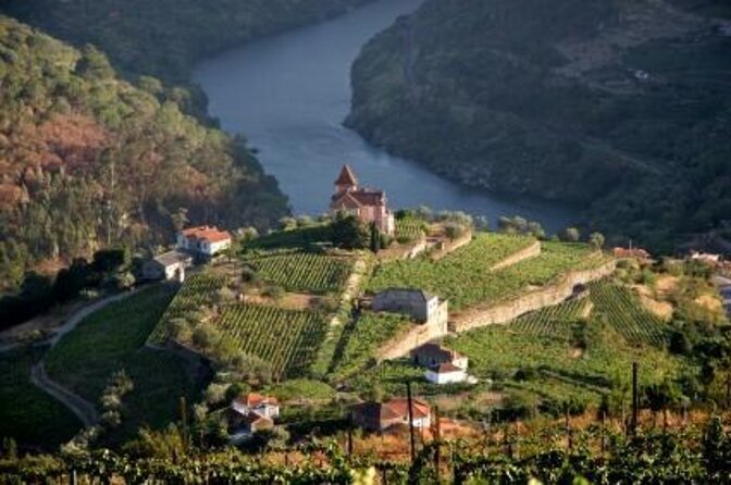Douro Valley Small-Group Tour with Wine Tasting, Lunch and Boat - Key highlights to know before you go