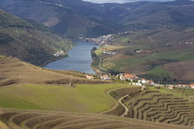 Douro Valley Tour: 2 Vineyard Visits, River Cruise, Winery Lunch - Key Highlights You’ll Feel Fast