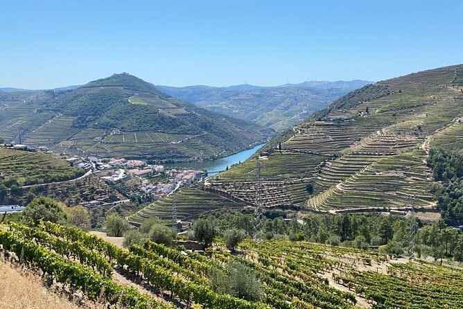 Douro Valley Tour - 3 Wine tastings, Lunch & river Cruise - Amarante: Vinho Verde, cheese and charcuterie, plus the monastery and bridge