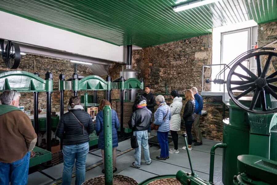 Douro Valley Tour: Visit 2 Wineries, Lunch & River Cruise - Who this tour fits best (and who should rethink it)